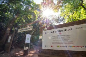 Терапевтичний сад у скандинавському стилі: інноваційне рішення для психічного здоров’я в Києві