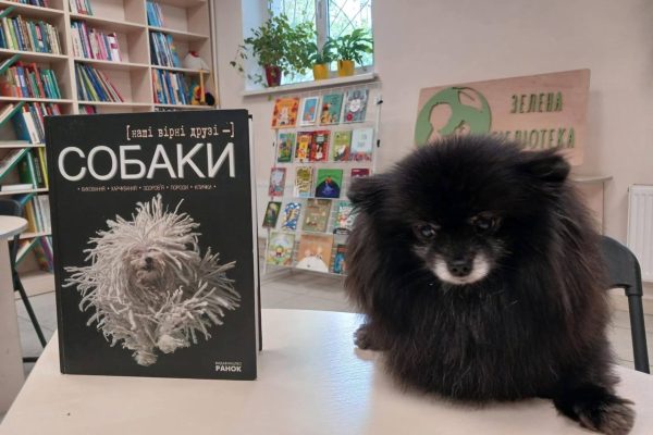 Міжнародний день собак у багатьох країнах відзначають 2 липня.
