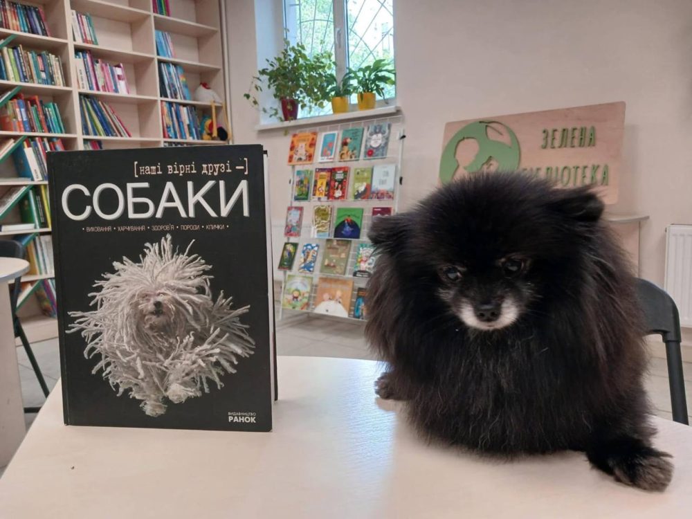 Міжнародний день собак у багатьох країнах відзначають 2 липня.