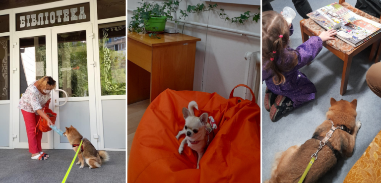 Продовжуємо рубрику про наш Рet-friendly простір в бібліотеці “Сузірʼя”! Адже сучасна бібліотека – це не тільки книжки, а й простір для цікавих заходів, для майстер-класів, навчання, концертів, дитячих свят. Також для зустрічей із цікавими людьми. Але ж не тільки спілкування з людьми приносить користь та задоволення!